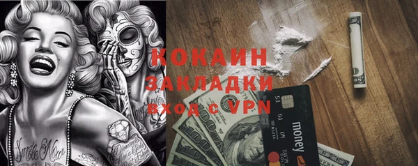 стаф Алексин