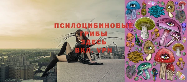 стаф Алексин