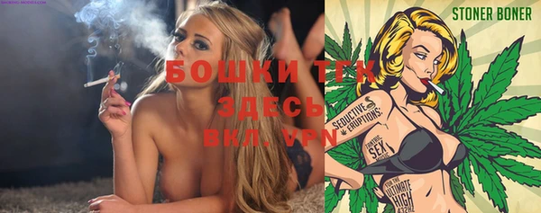стаф Алексин