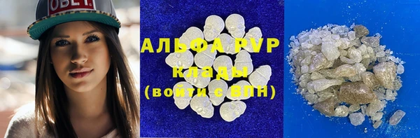 стаф Алексин