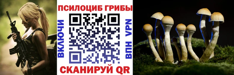 Псилоцибиновые грибы Psilocybine cubensis  Кирс 